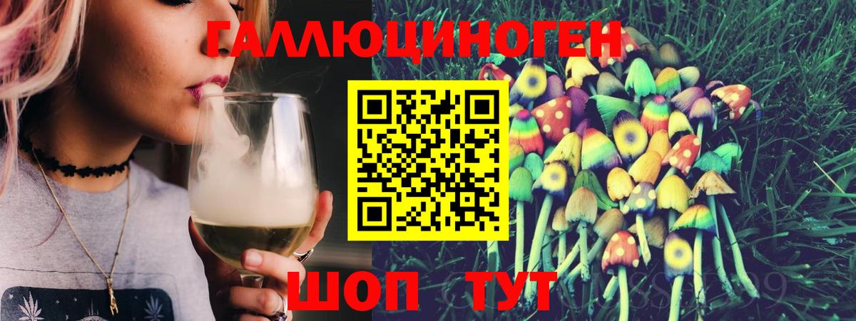 Приморско-Ахтарск  Псилоцибиновые грибы MAGIC MUSHROOMS  Вход с VPN  Псилоцибиновые грибы Psilocybe 