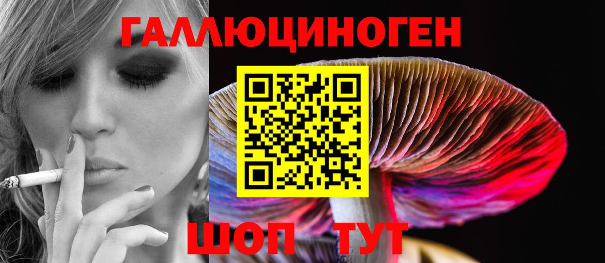 Галлюциногенные грибы Psilocybe Приморско-Ахтарск